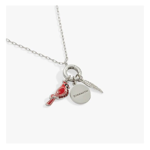 ALEX & ANI Charms Your Way Necklace and Charms NEW - Picture 1 of 5